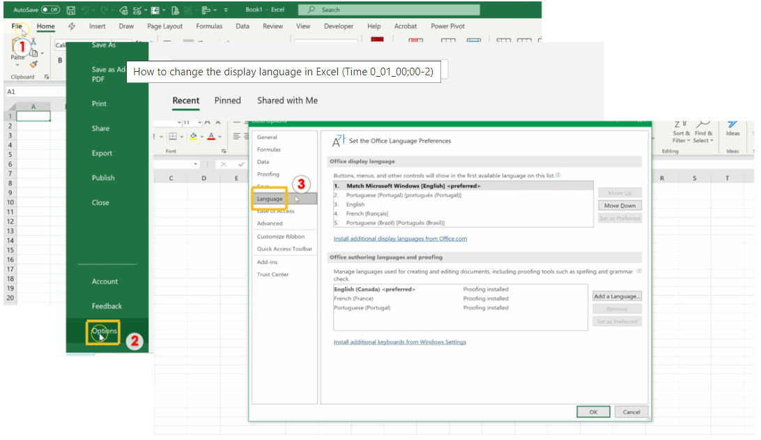 How To Change Excel Language? Earn and Excel