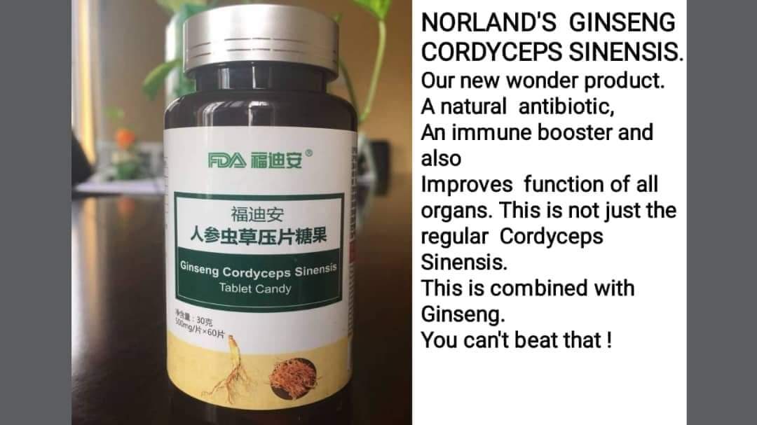 product Review Norland Ginseng Cordyceps sinensis EARNERS VIBE