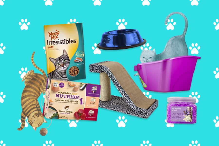 FirstTime Cat Owner Essentials Earn Spend Live