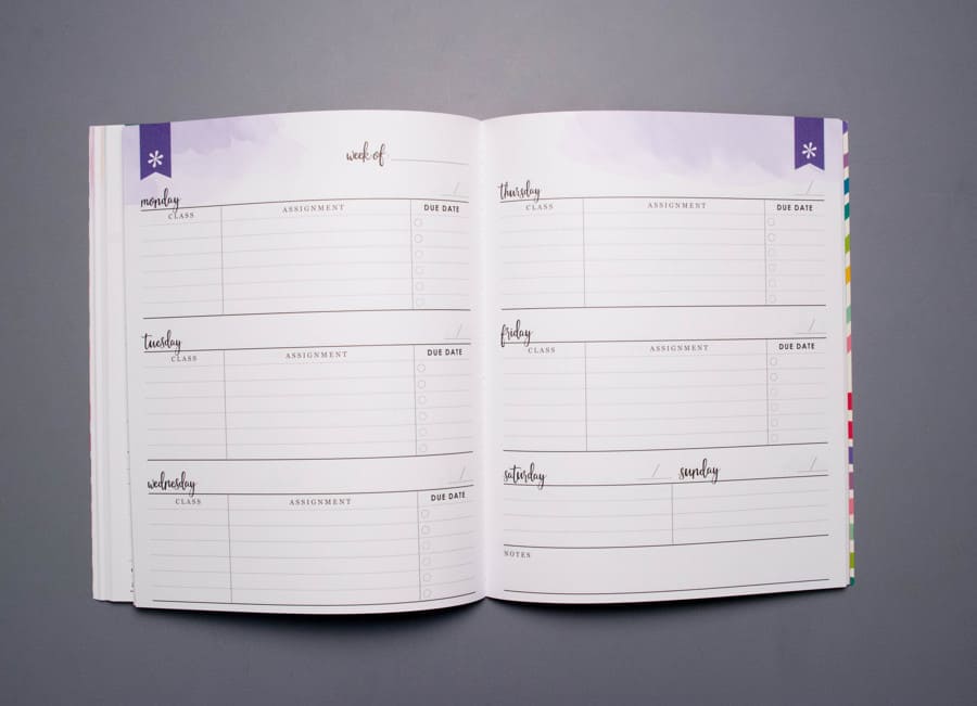 Erin Condren Academic Planner Review Earn Spend Live