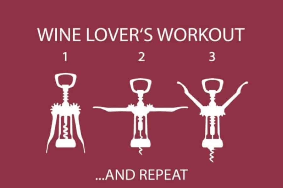 11 MustHave Wine Accessories for Wine Lovers Earn Spend Live