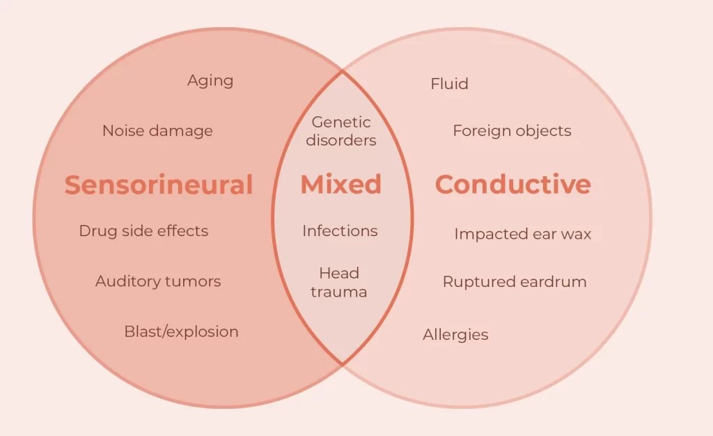Hearing Loss Types, Treatment, Causes and Symptoms Earsolutions