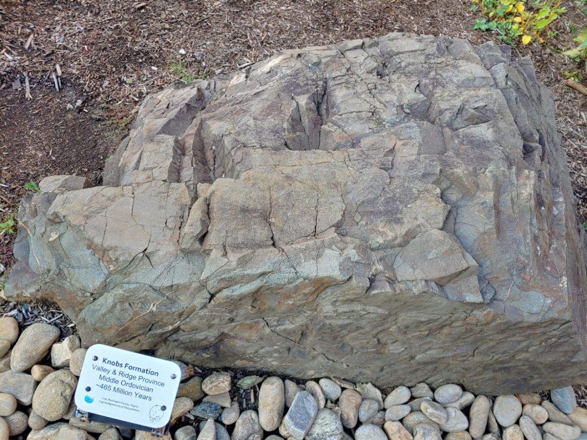 Knobs Formation Department of Geological and Environmental Sciences