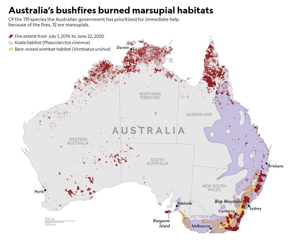 Climate Change and the Australian Bushfires A Visual Guide