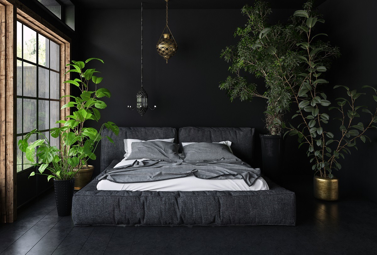 15 Soothing Bedroom Plants to Help You Sleep Earth 911