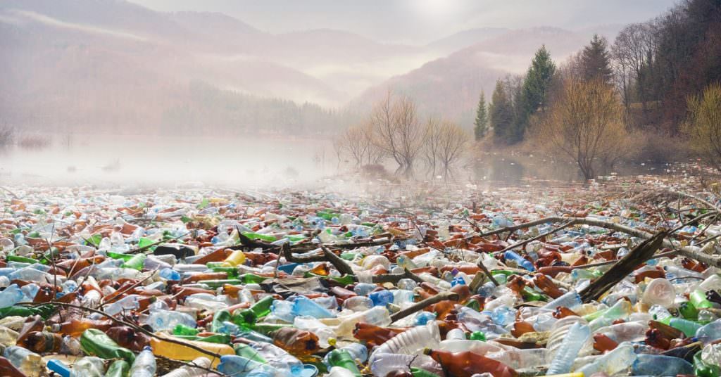 Infographic Our Plastic Earth Earth911