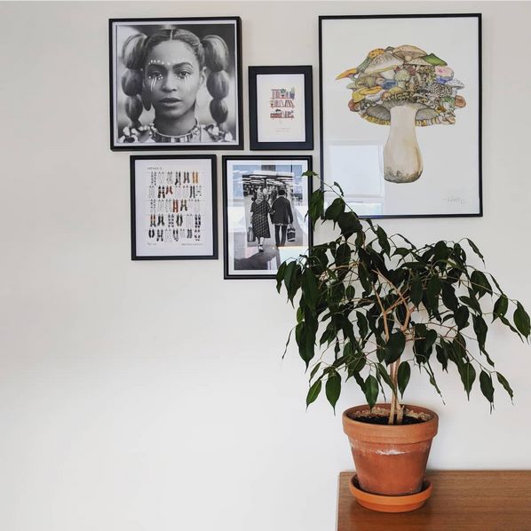 Growing InstagramFamous Houseplants Earth911