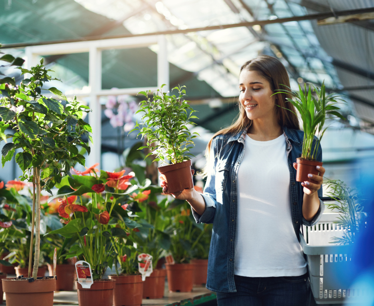 Earth Alive Announces Canadian Agreement for Distribution in Over 1,000