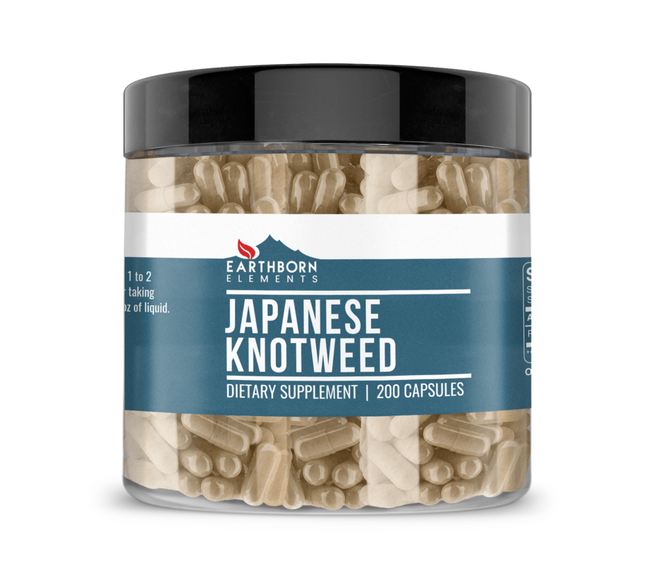 Japanese Knotweed Extract Capsules Earthborn Elements