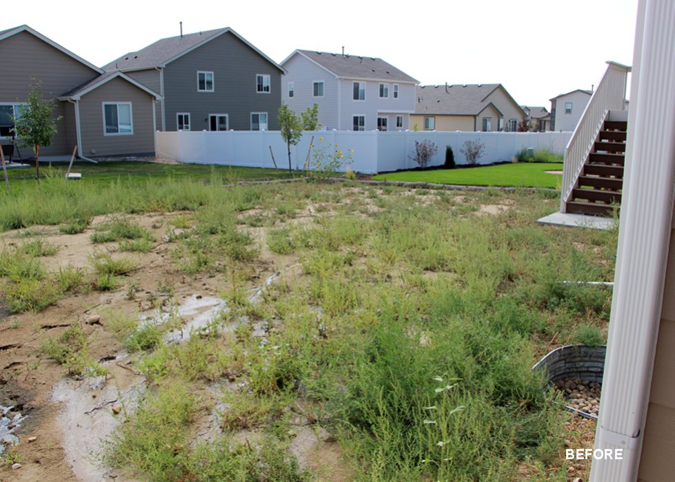 New Construction · Earthborn Landscape Design