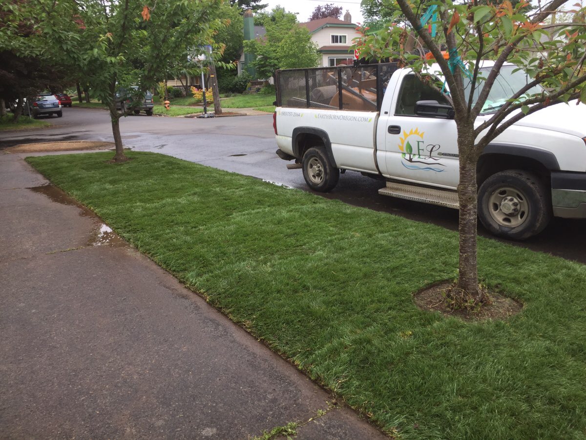 Professional Sod Installation New Lawn in Portland, Oregon