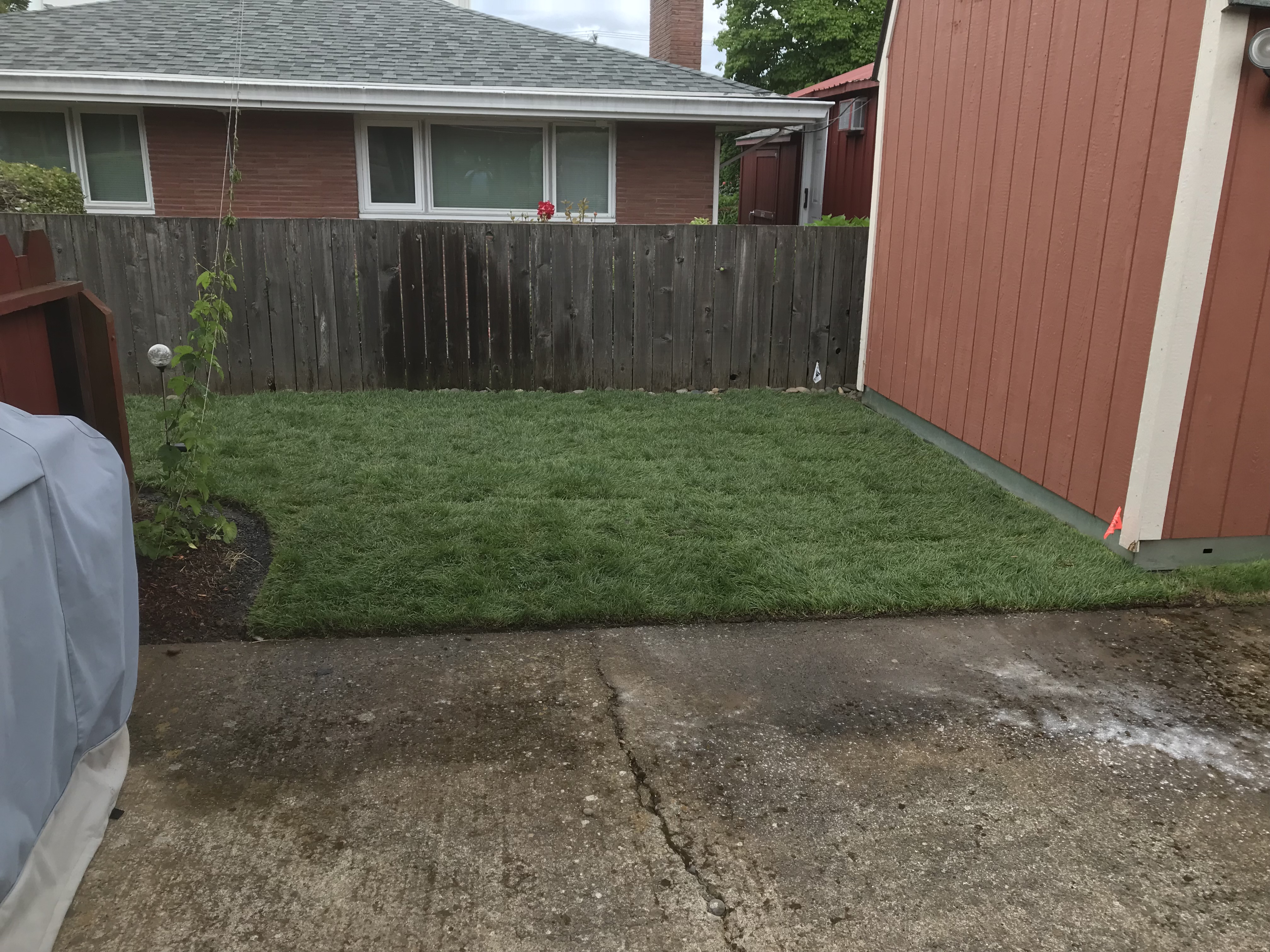 Professional Sod Installation New Lawn in Portland, Oregon