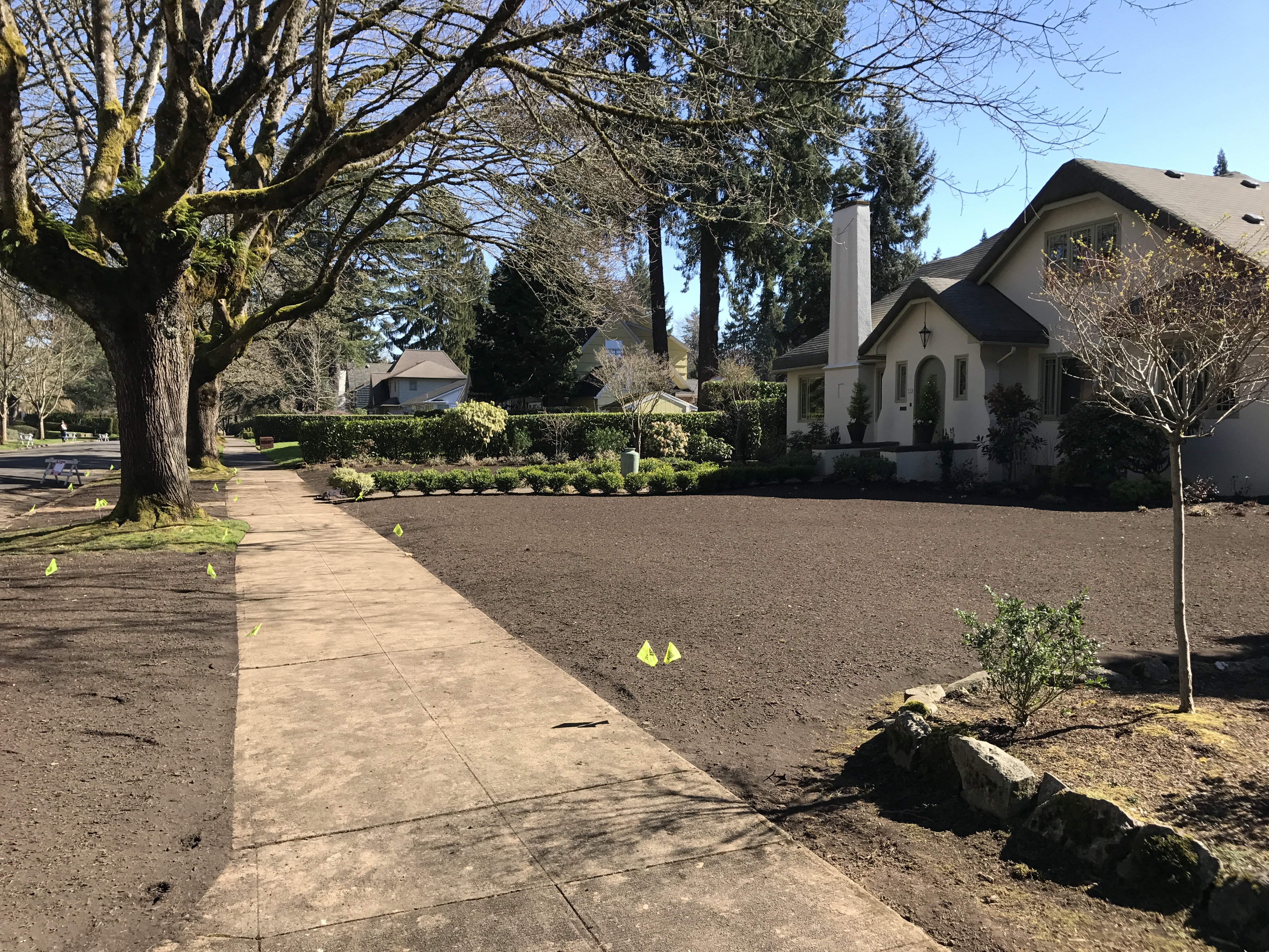 Professional Sod Installation New Lawn in Portland, Oregon