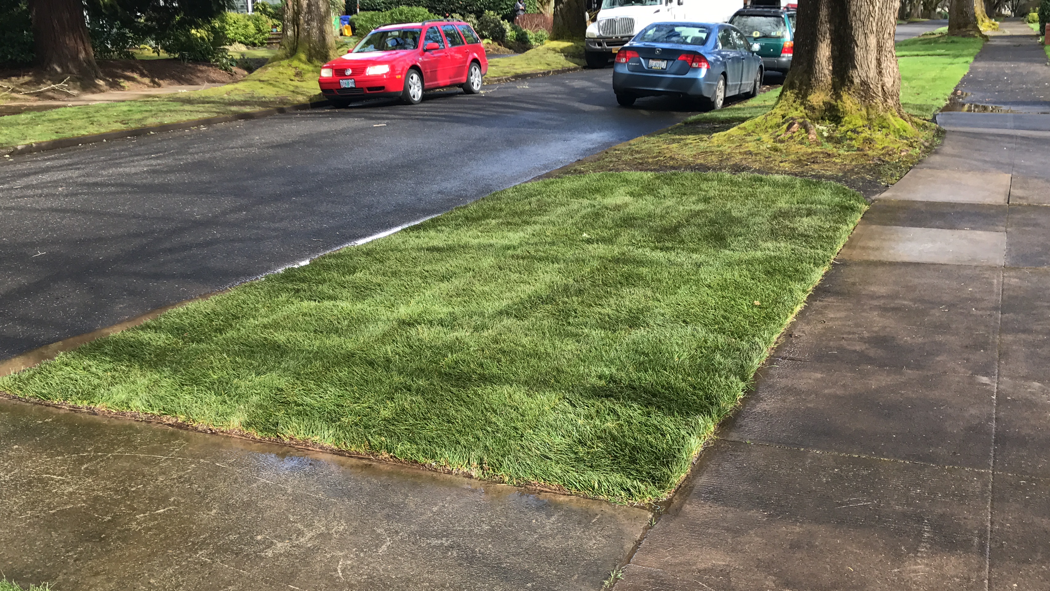 Professional Sod Installation New Lawn in Portland, Oregon