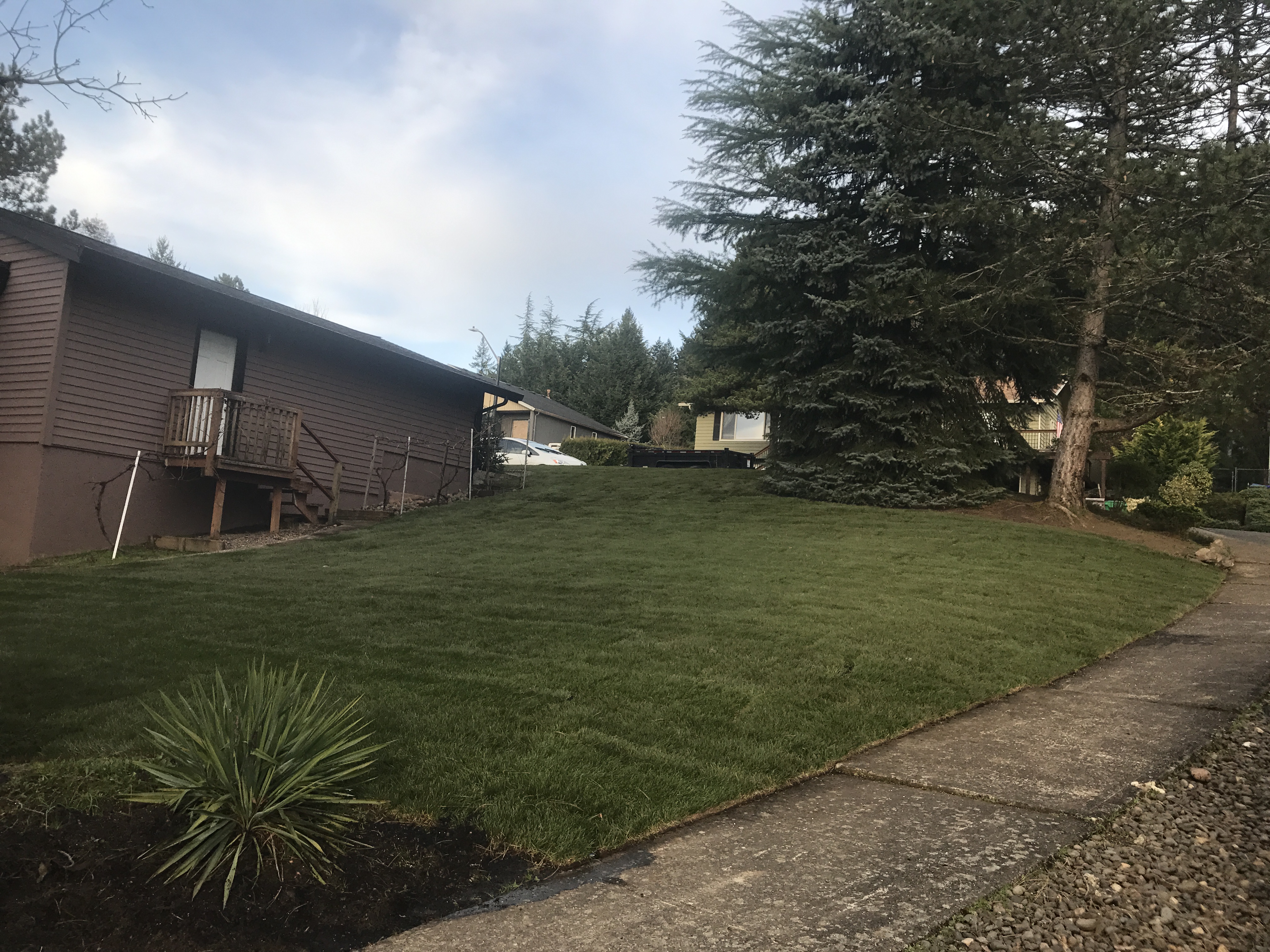 Professional Sod Installation New Lawn in Portland, Oregon