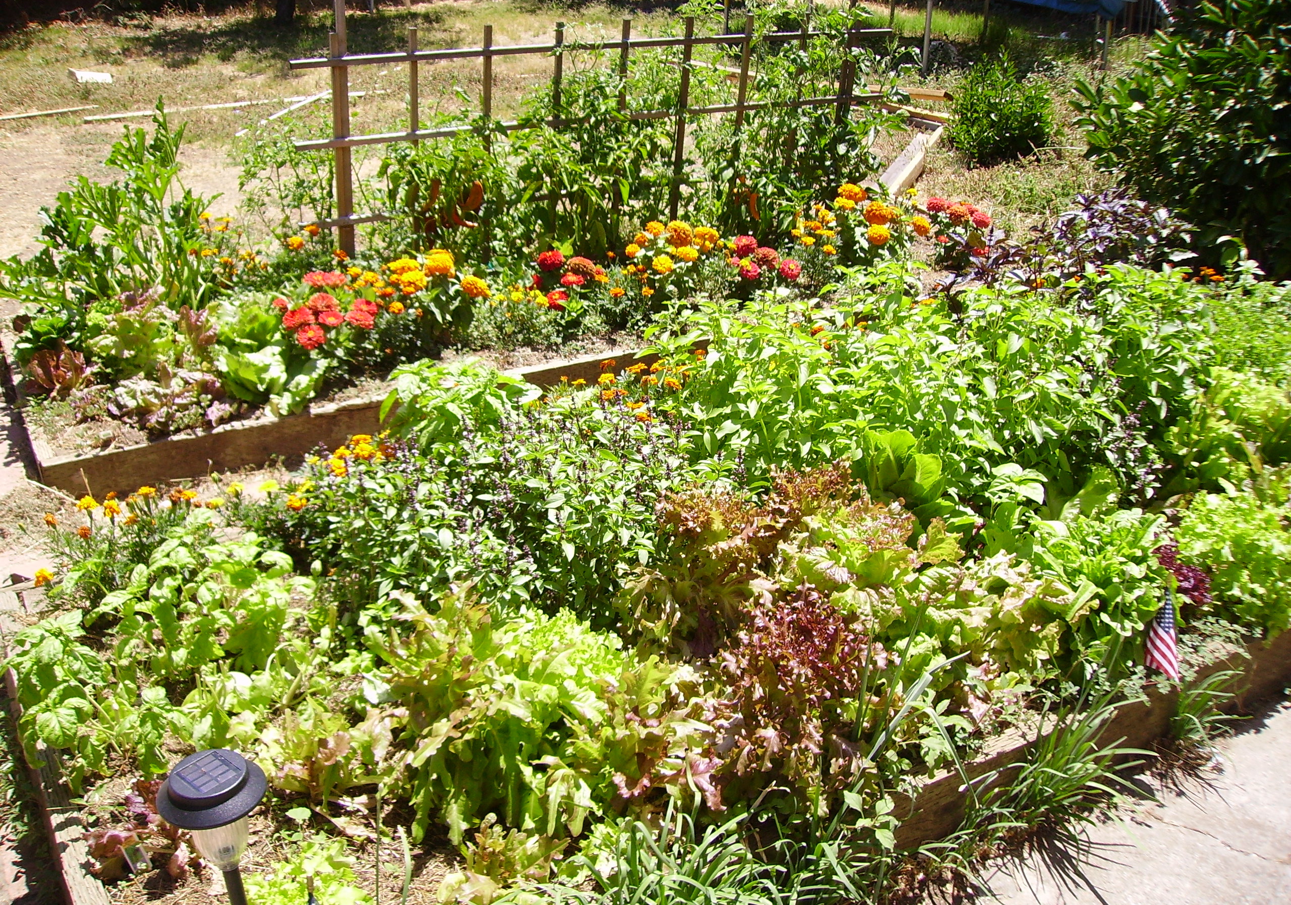 Accessible Gardens Make Gardening A Universal Hobby For All