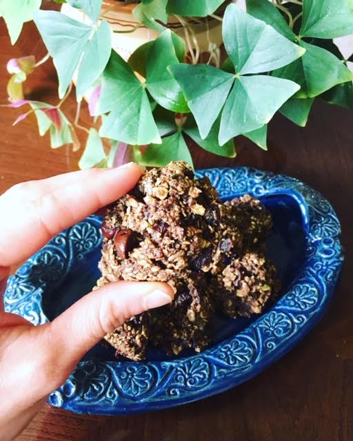 Vegan Protein Breakfast Cookie Recipe Earth Connections