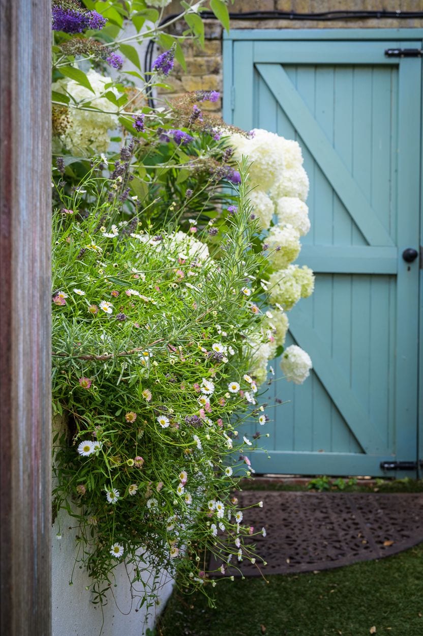 Family Garden Design in Hackney East London 01702 662 950