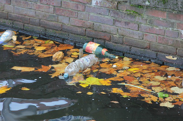 25 Amazing Ways to Prevent Water Pollution Earth Eclipse