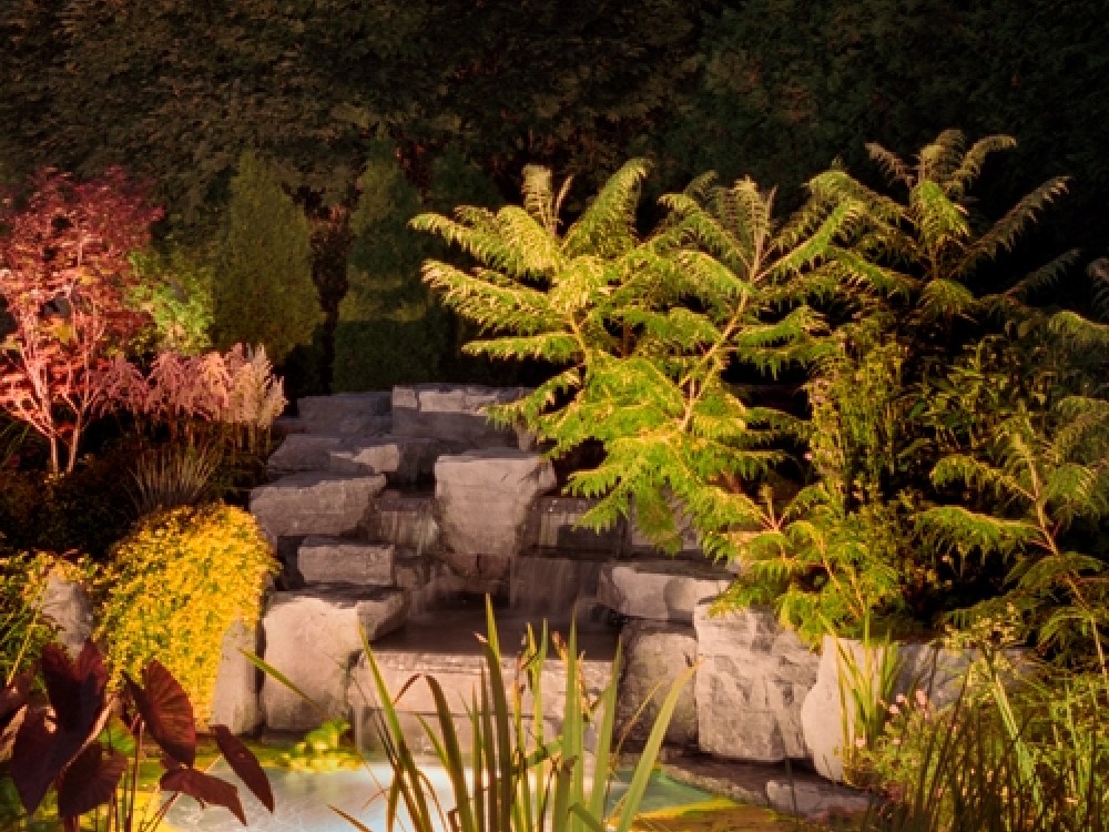 What's New? Earth Elements