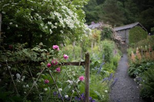 path-into-garden-beautiful-free