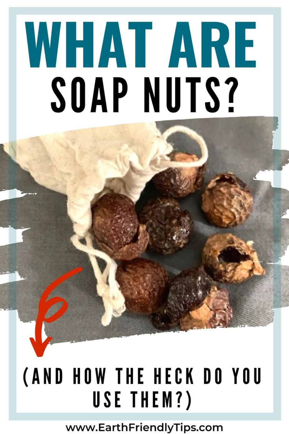 How to Use Soap Nuts Earth Friendly Tips