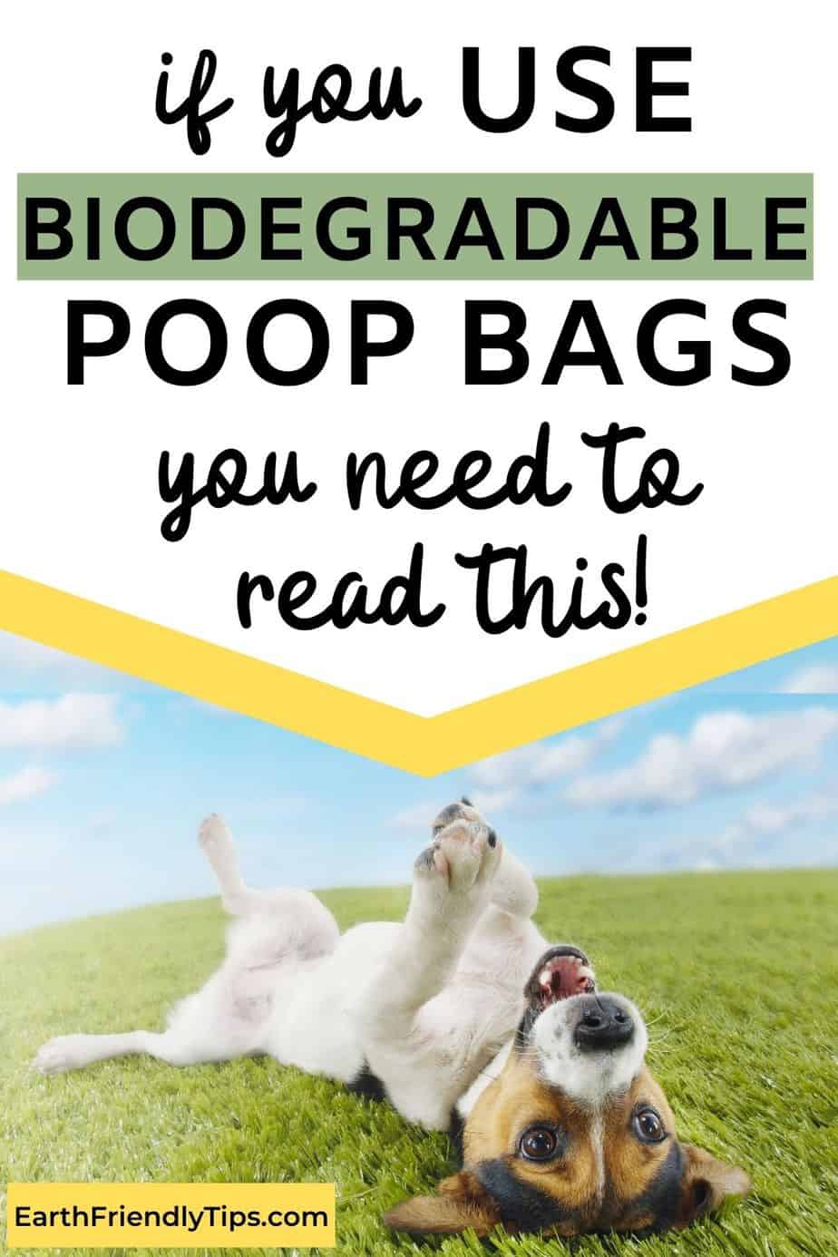 Best Biodegradable Dog Poop Bags Earth Friendly Tips