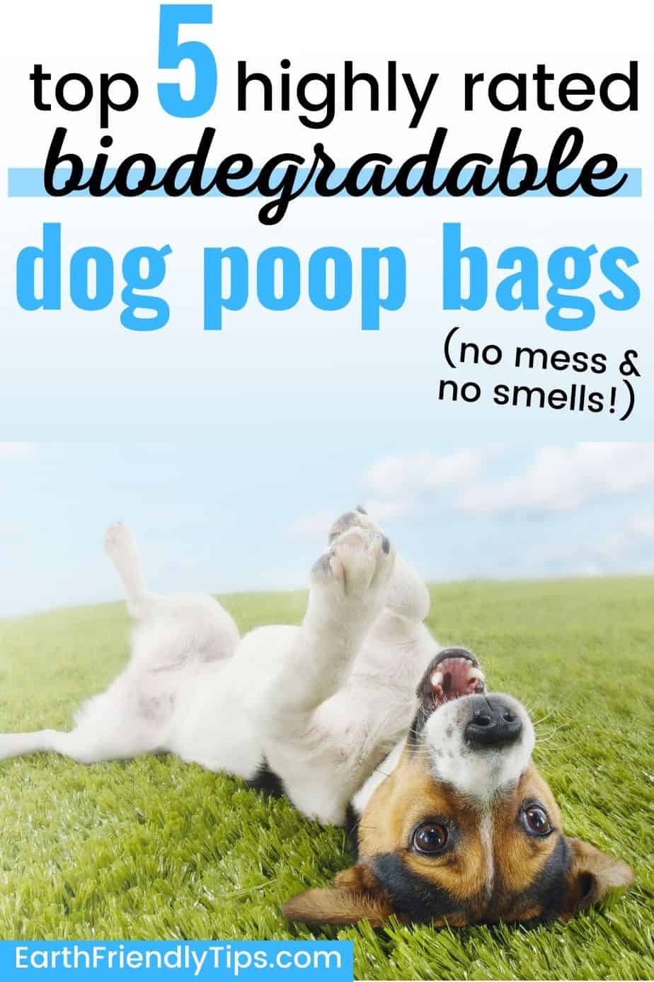 Do Flushable Dog Poop Bags Really Work