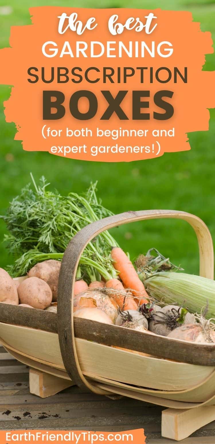Best Gardening Subscription Boxes Earth Friendly Tips