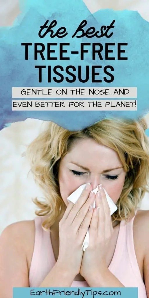 Best EcoFriendly Tissues of 2024 Earth Friendly Tips
