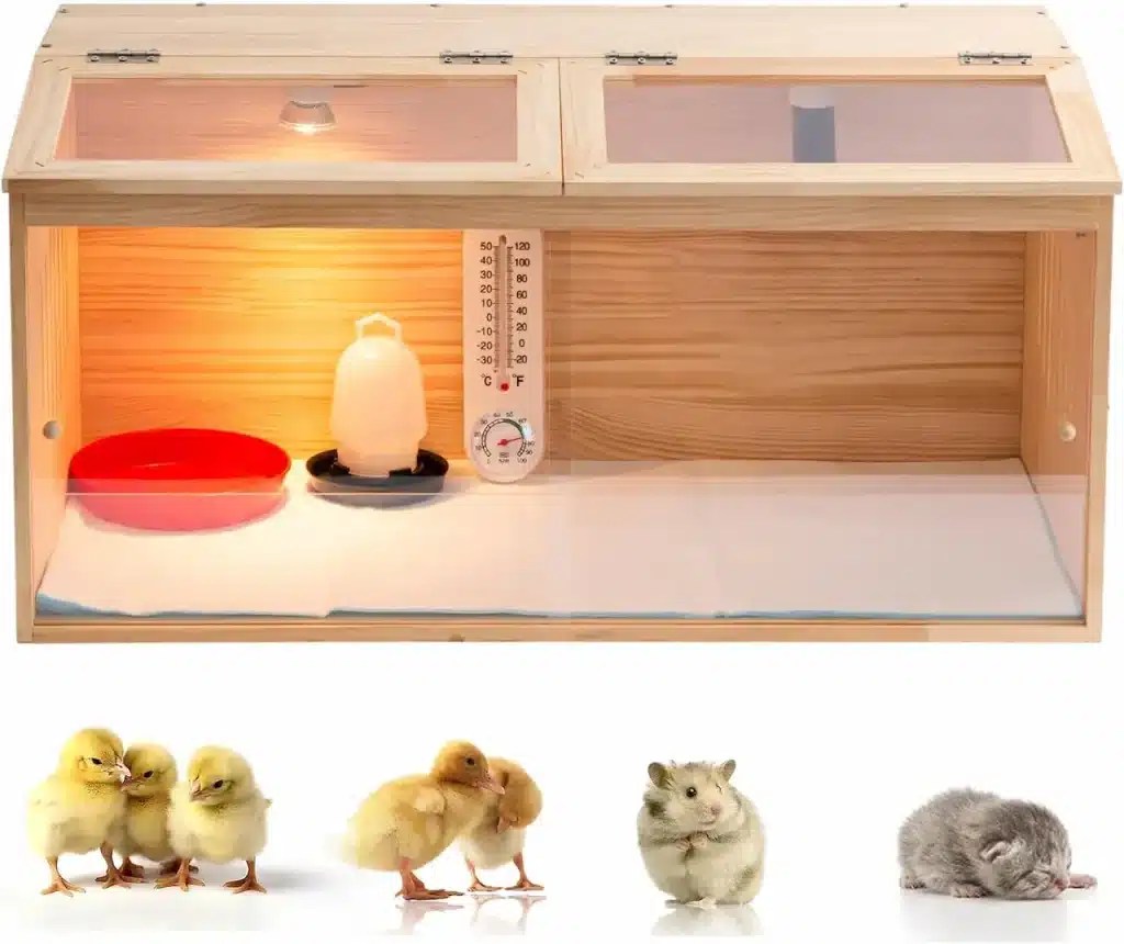 8 Best Quality Chicken Brooders The Complete Guide Earth Life