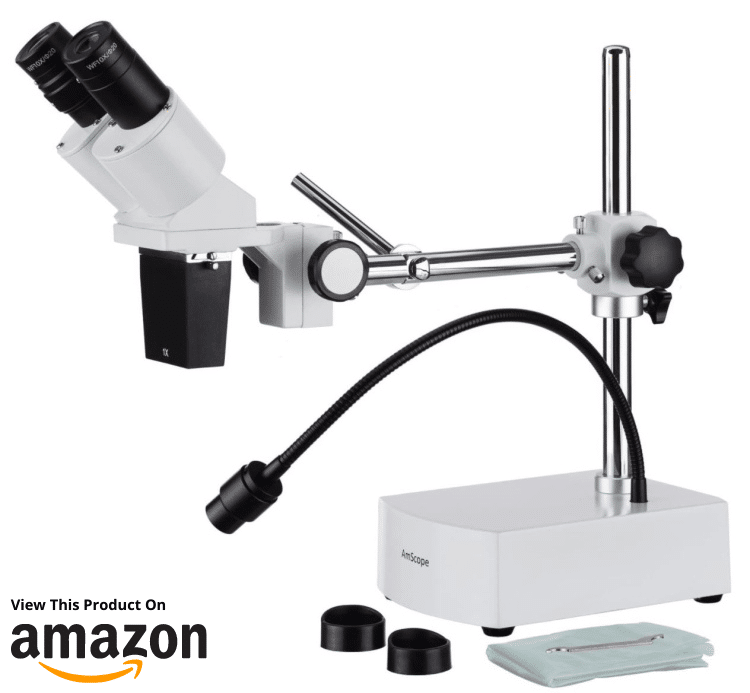 Choosing The Best Microscopes Types of Microscopes Earth Life