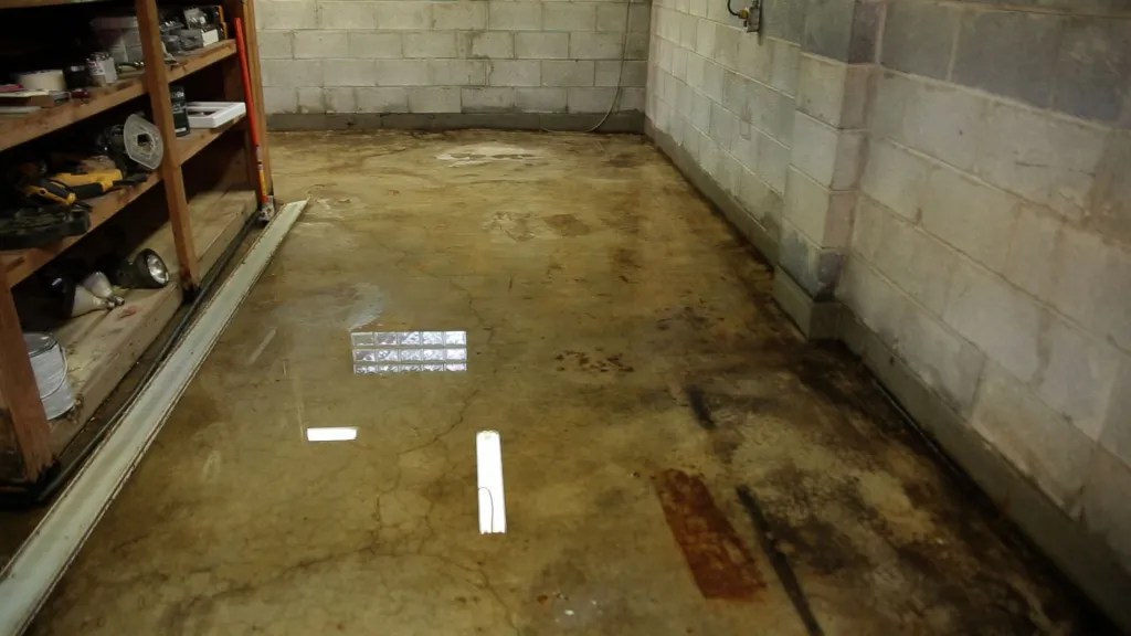 8 Signs That Your Basement May Be at Risk for Flooding 2024 Guide