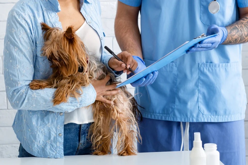 Guide To Choosing the Right Pet Health Insurance Plan