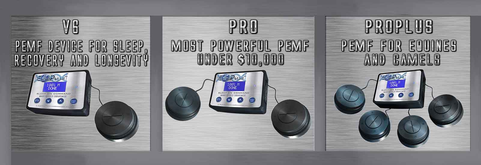 Pulsed Electro therapy Osteoporosis