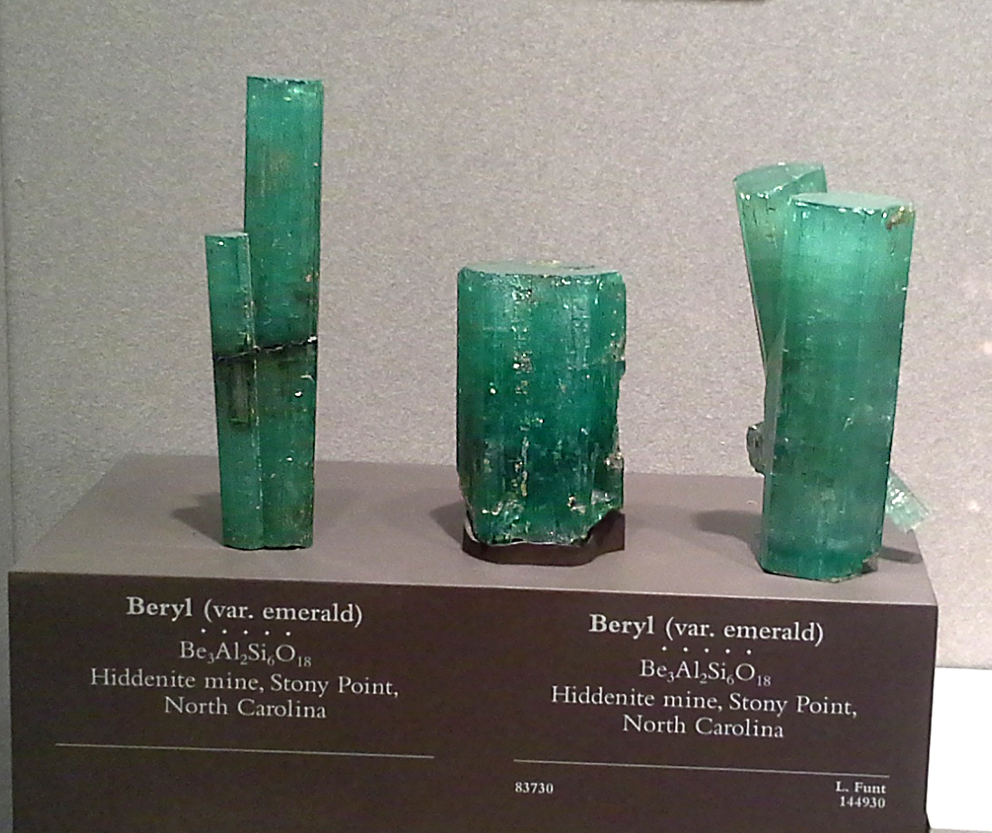 Visiting the Smithsonian National Museum of Natural History