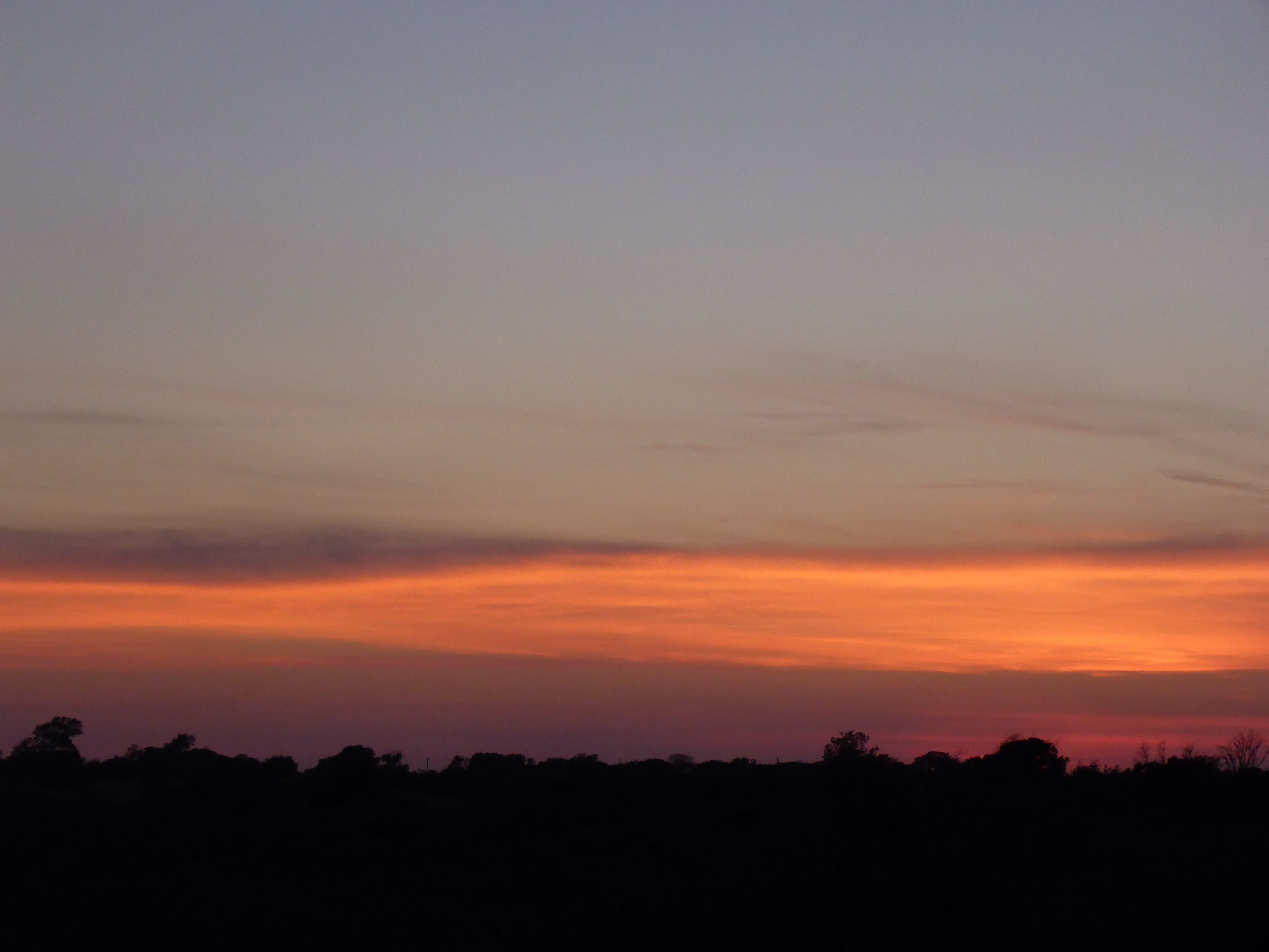 Shin Oak Observation Deck « earthrobert