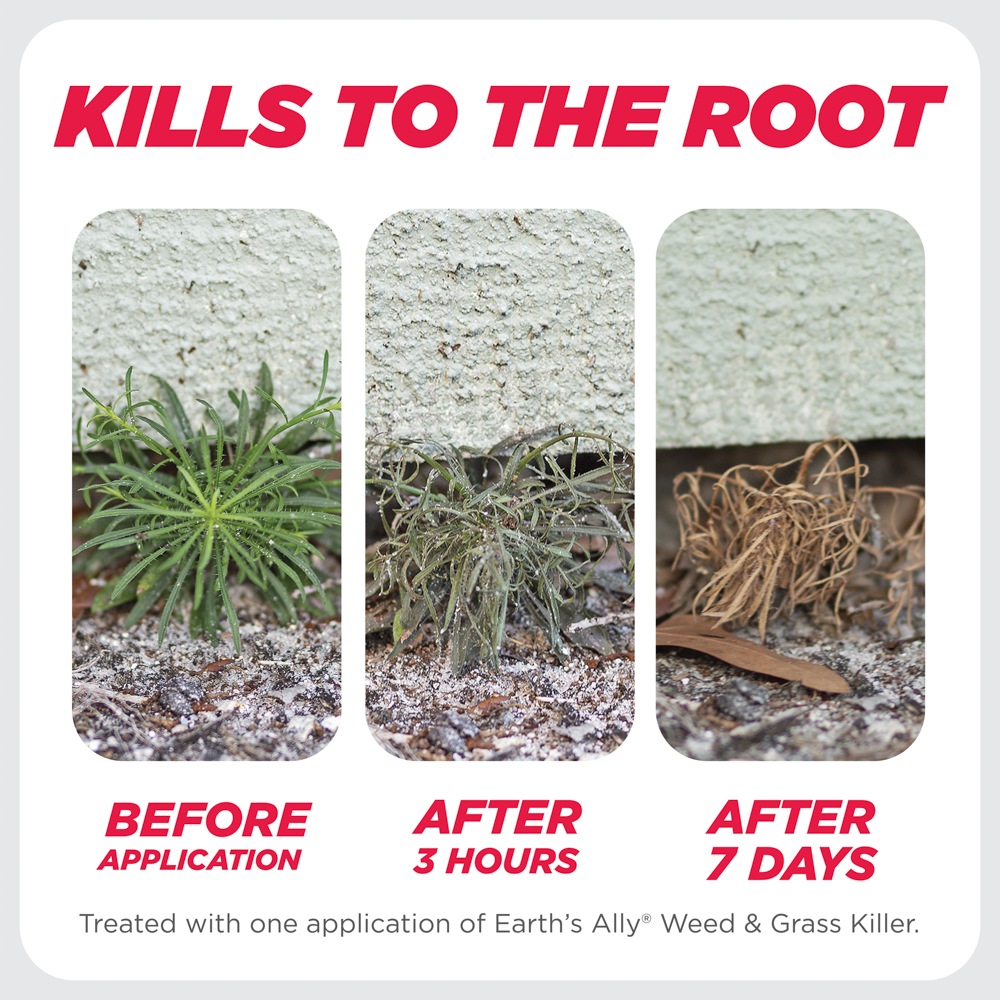 Weeding Before And After lupon.gov.ph