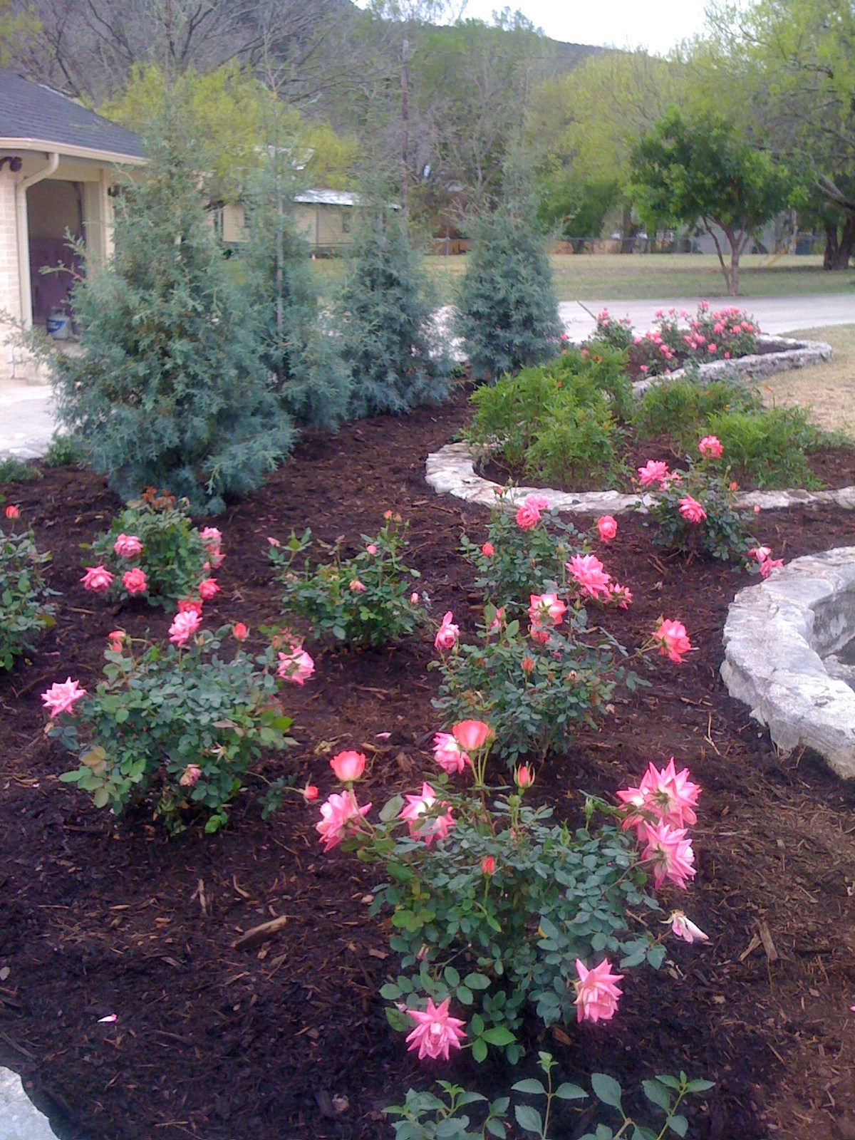 Earthscapes Picture Page