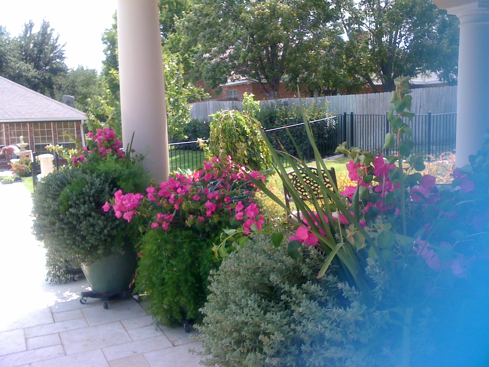 Earthscapes Picture Page