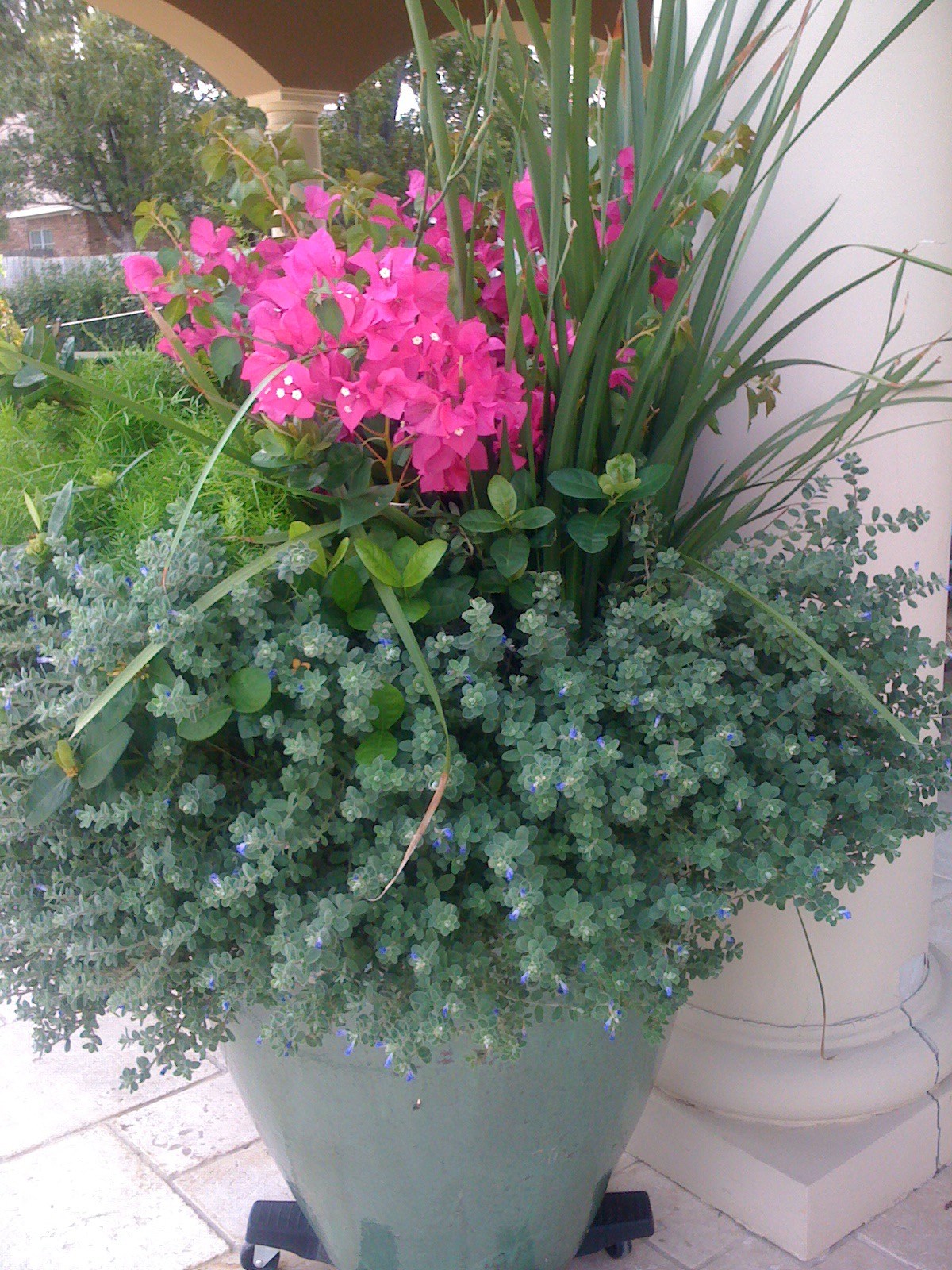 Earthscapes Picture Page