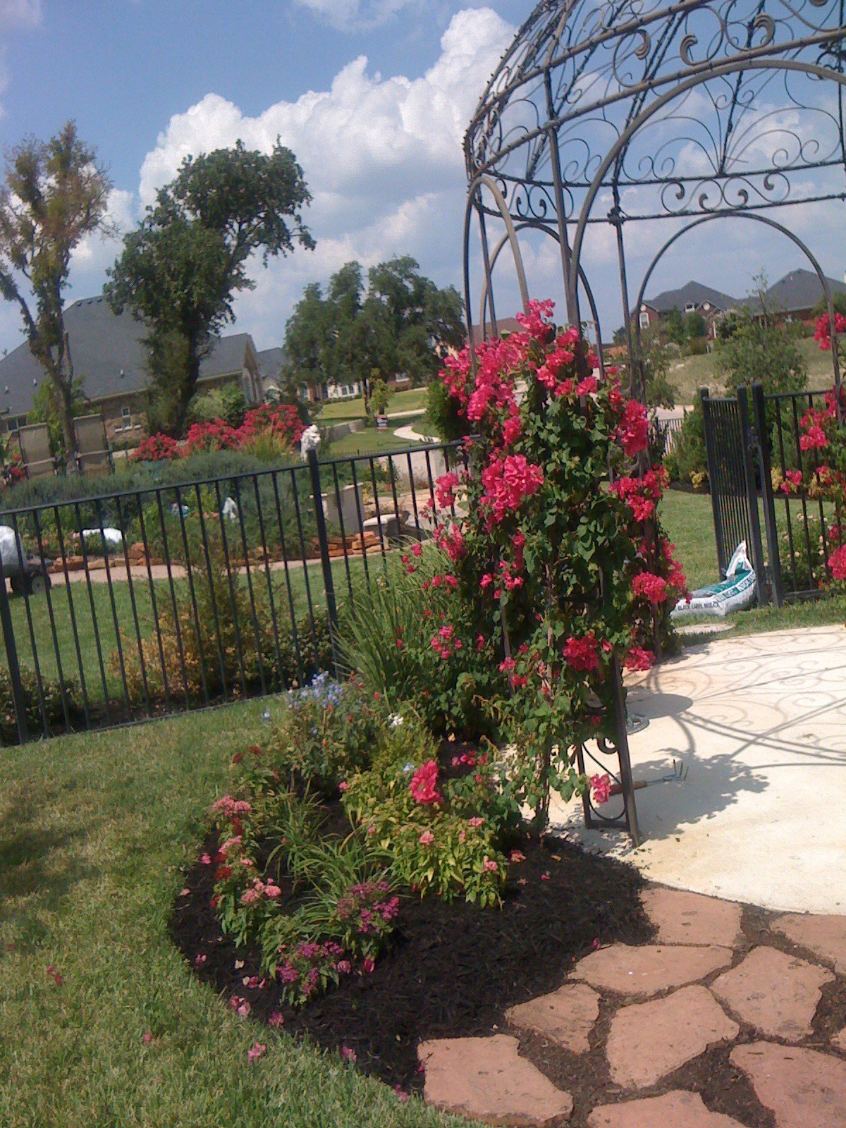 Earthscapes Picture Page