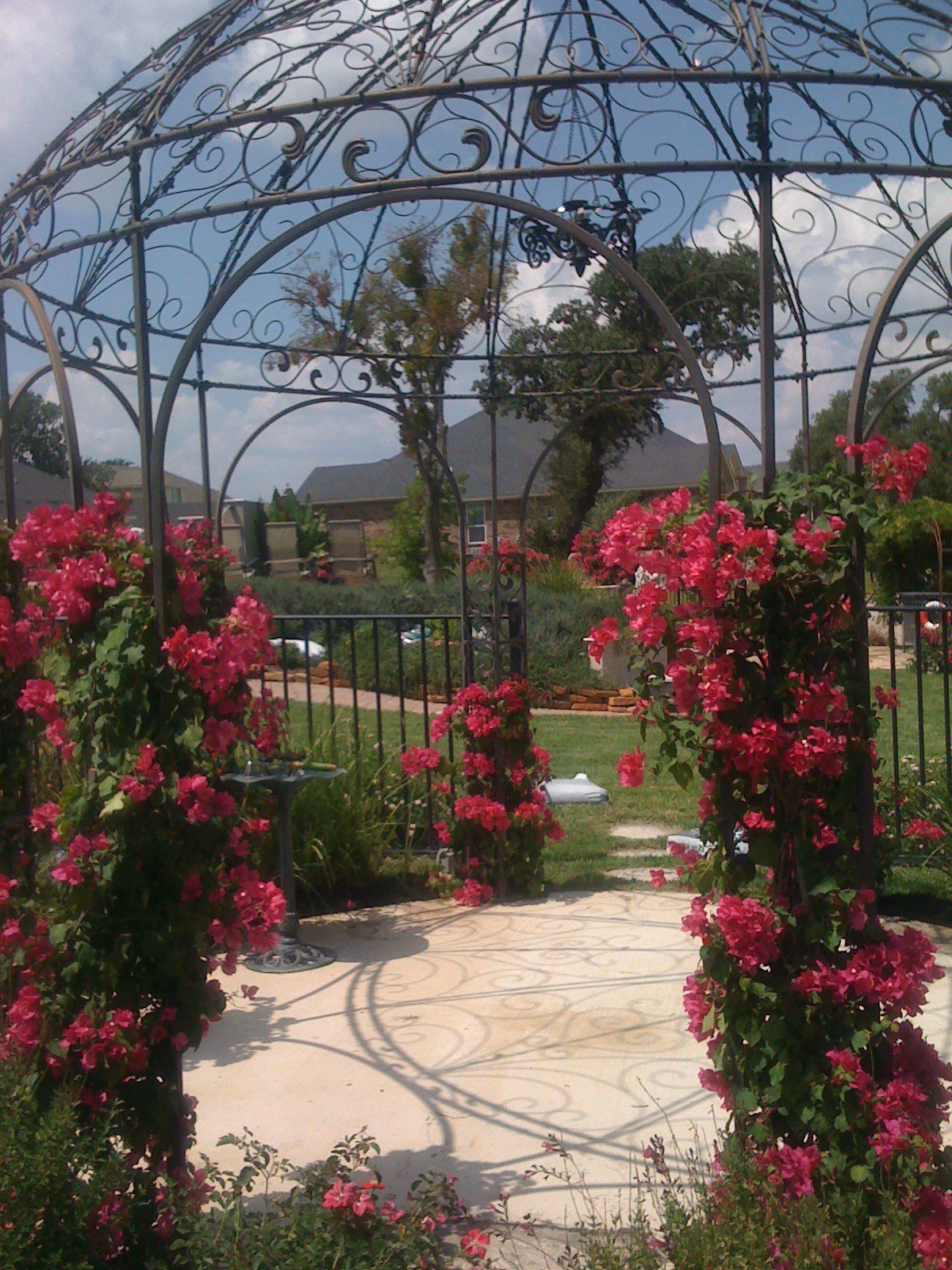 Earthscapes Picture Page