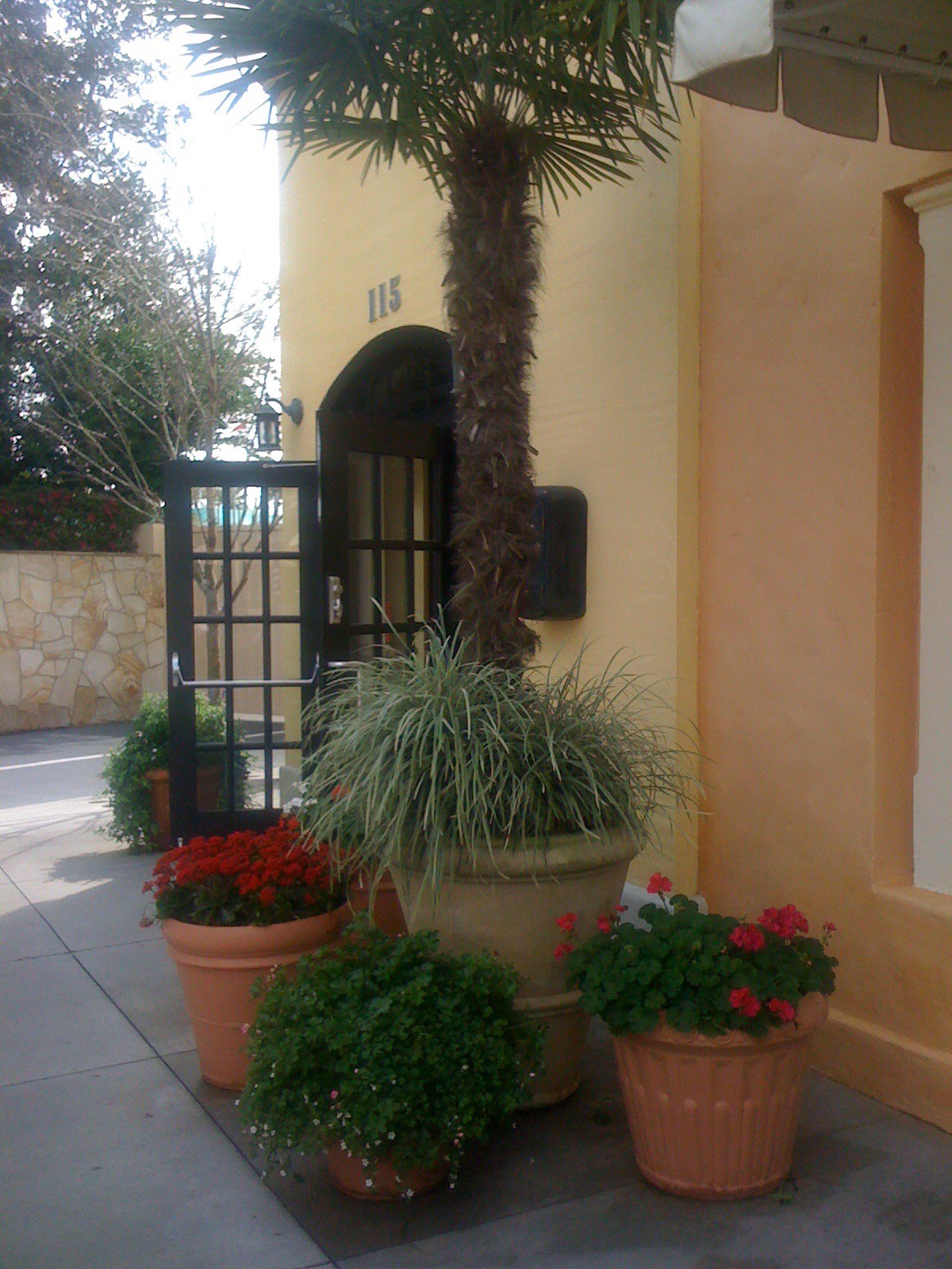 Earthscapes Picture Page