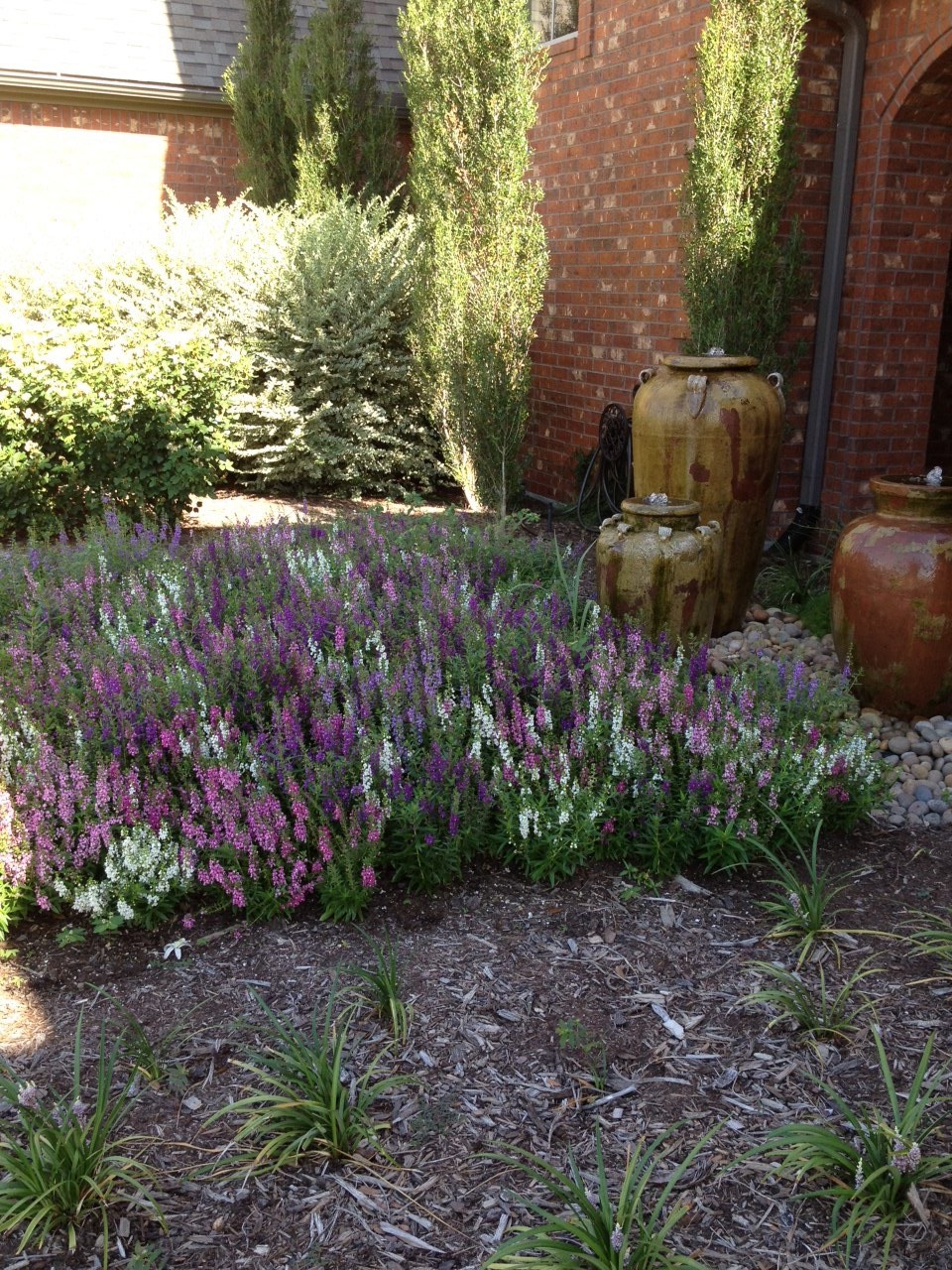 Earthscapes Picture Page