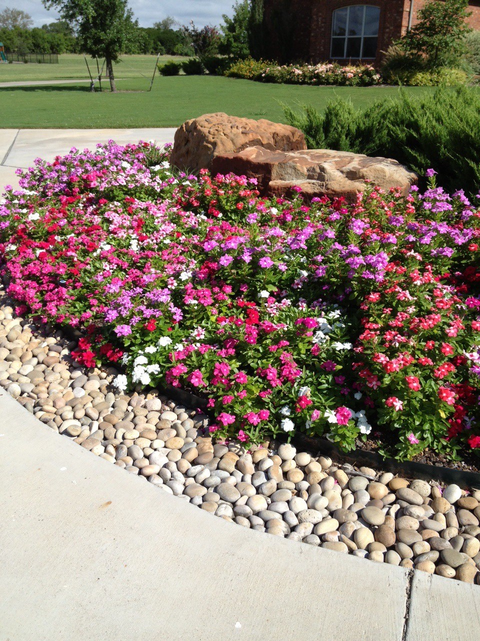 Earthscapes Picture Page