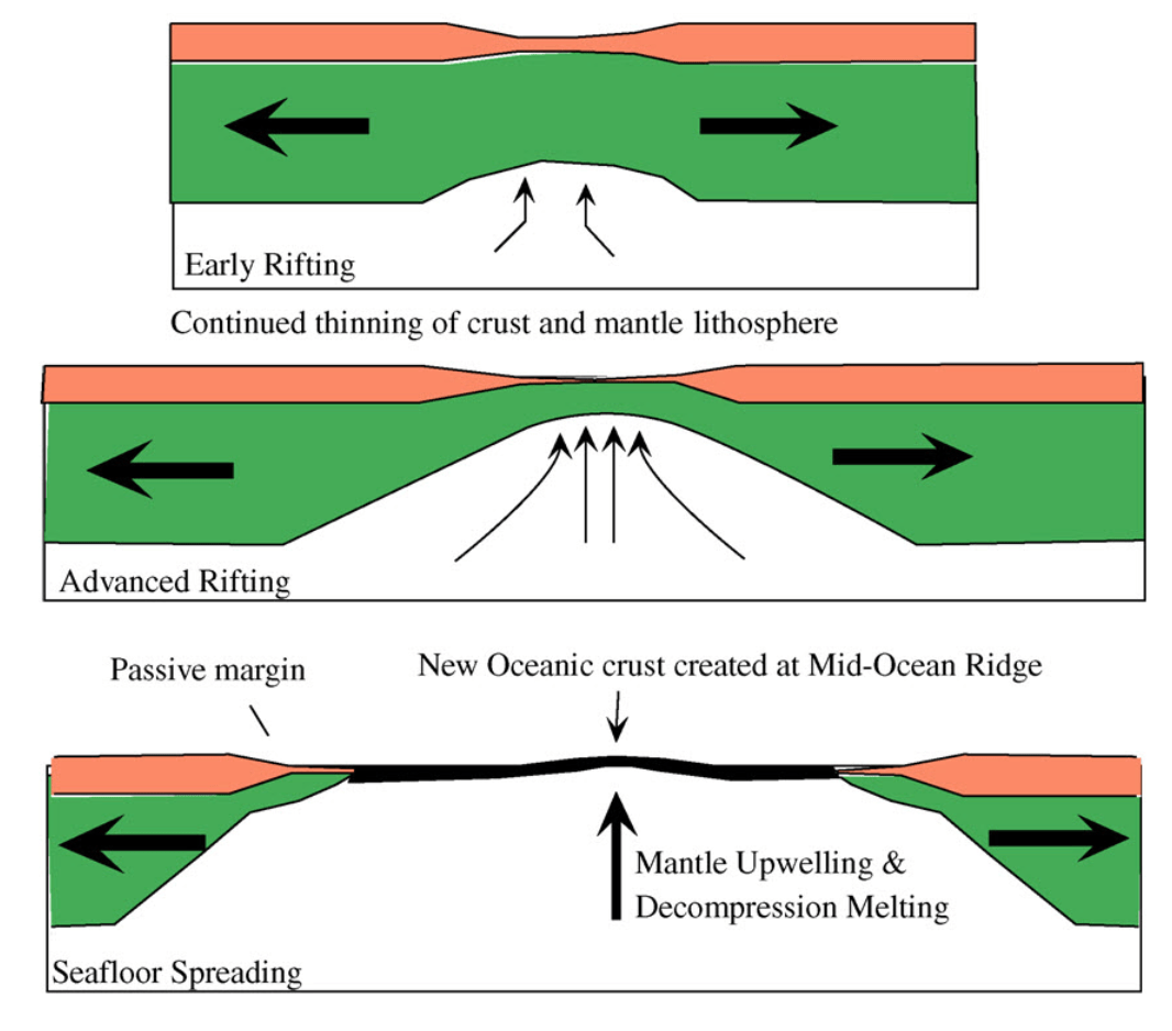 Tectonics, passive margins & dynamic topography — EarthSurface 0.0.1