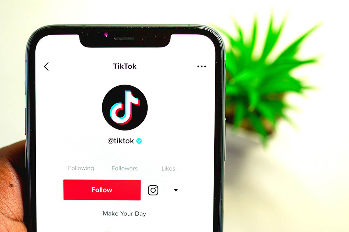 How to See Who Viewed Your TikTok Profile & Videos EarthWeb(015)