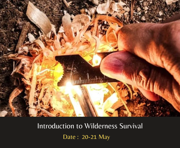 Introduction to Wilderness Survival (Spring) Wilderness Survival
