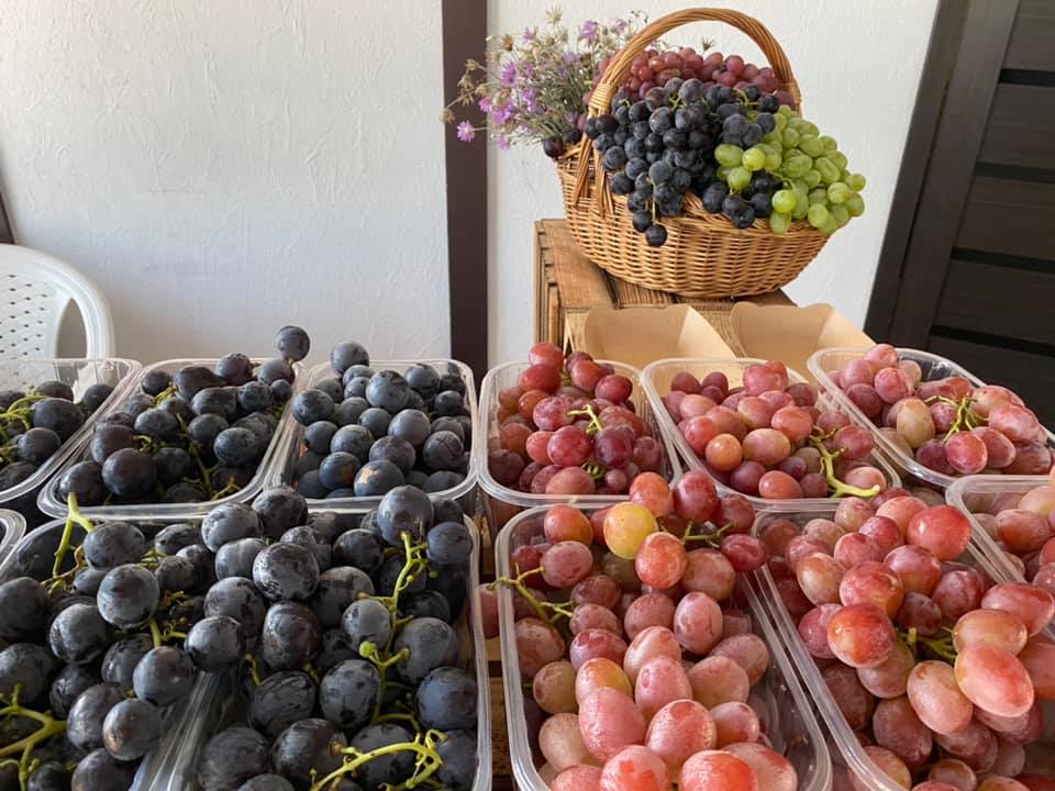 Prices for the Ukrainian table grapes are declining what do growers